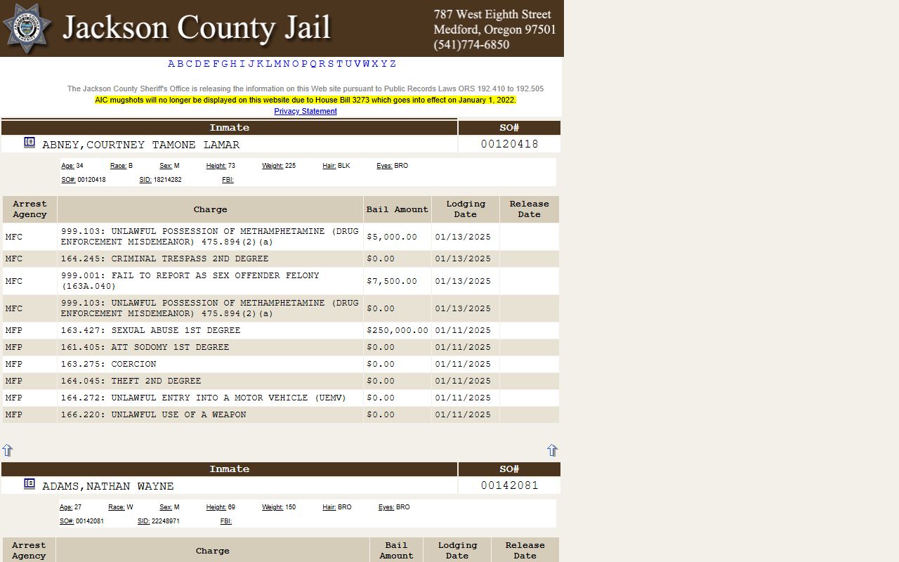 Jackson County inmate search portal showing current jail roster and booking information